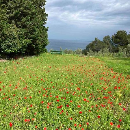 Istrian Green House Portorož Zewnętrze zdjęcie