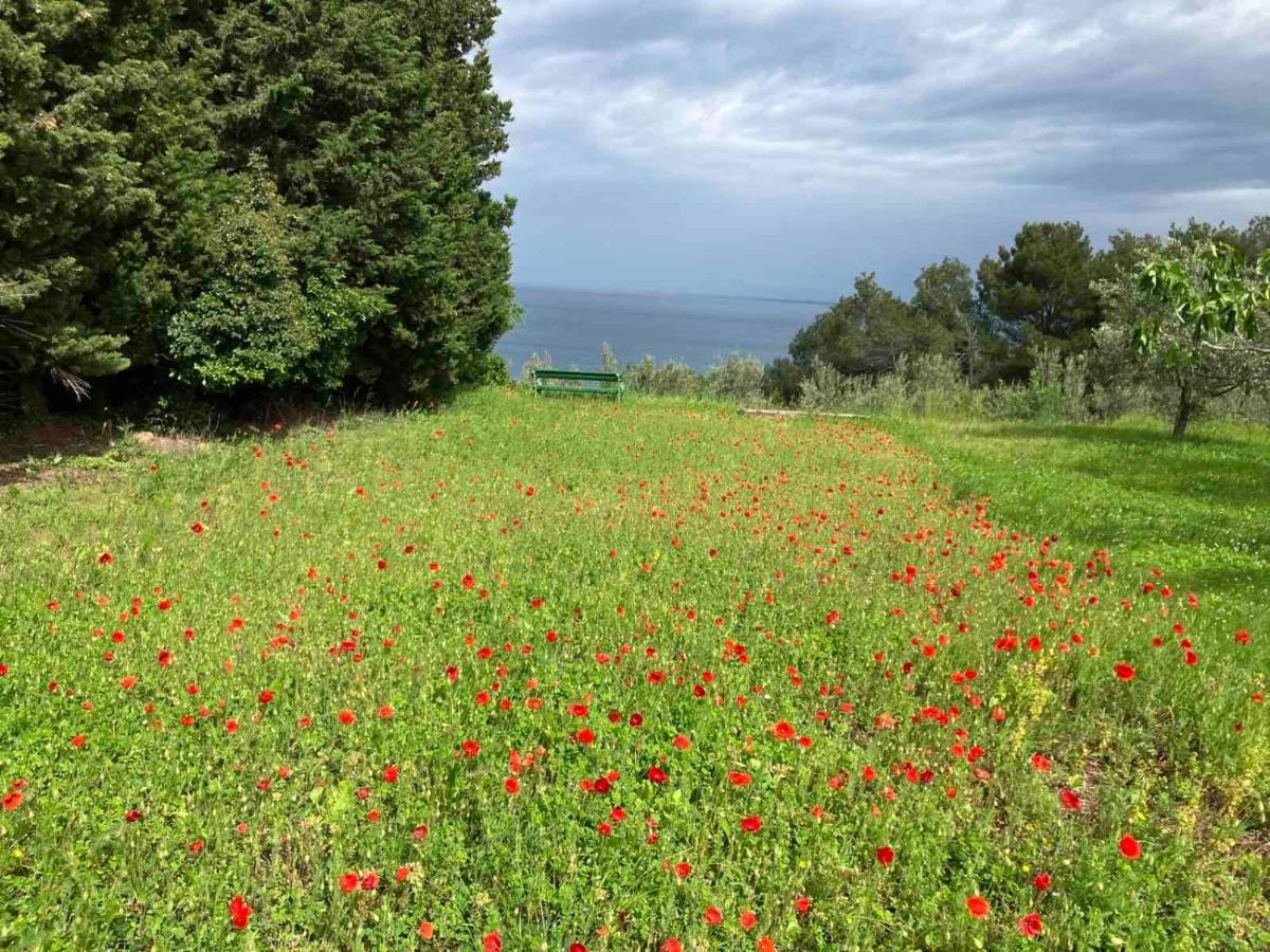 Istrian Green House Portorož Zewnętrze zdjęcie